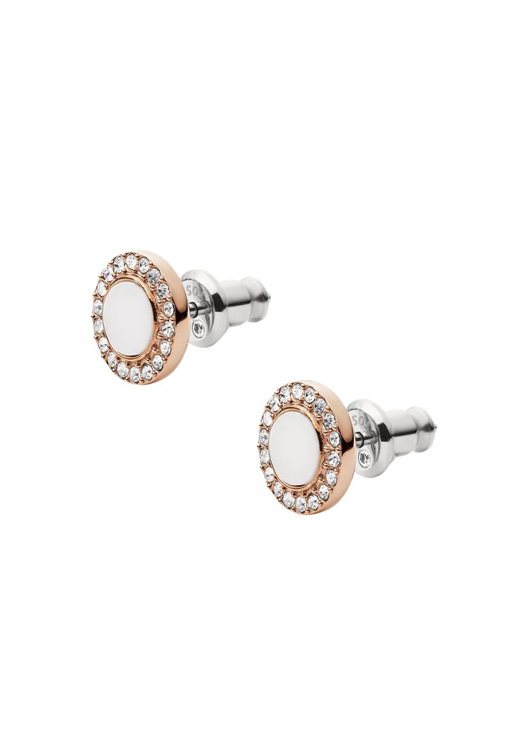 Fossil, JF02659791 — thumbnail 2